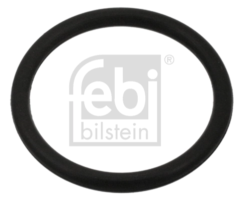 Seal Ring, oil drain plug 100998