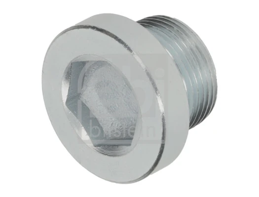 Screw Plug, transmission housing 194320
