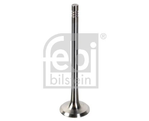 Exhaust Valve 181648