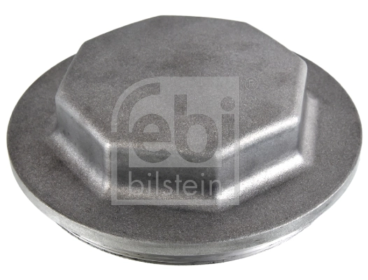 Protection Lid, wheel hub 171253