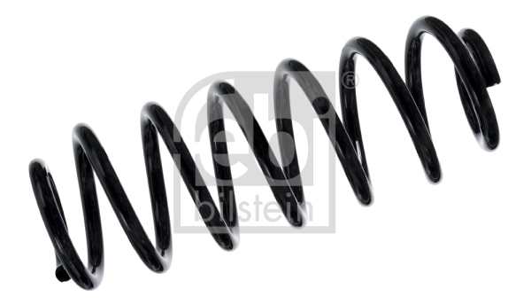 Suspension Spring 104724