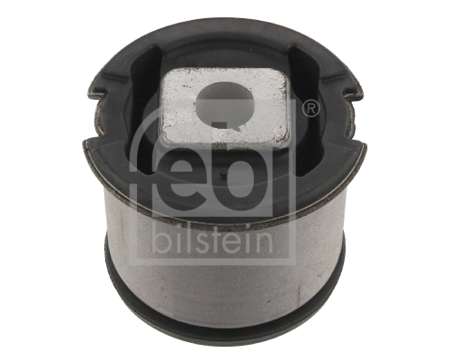 Bushing, axle beam 30975