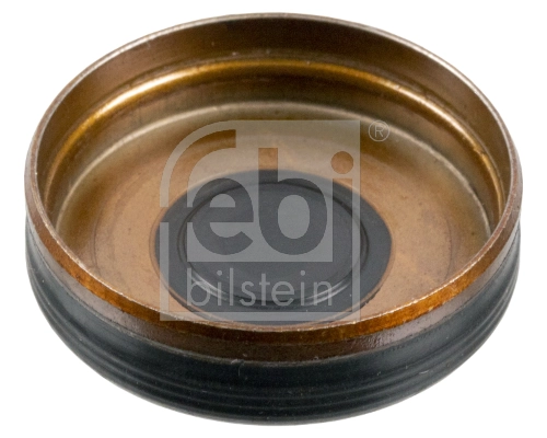 Lock Cover, timing chain tensioner (mounting hole) febi Plus 38327