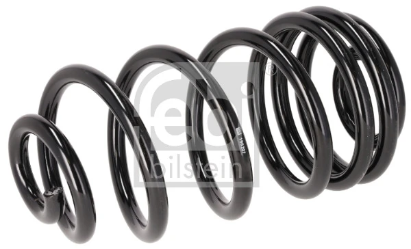 Suspension Spring 196207