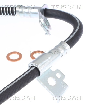 TRISCAN 8150 43179 Brake Hose