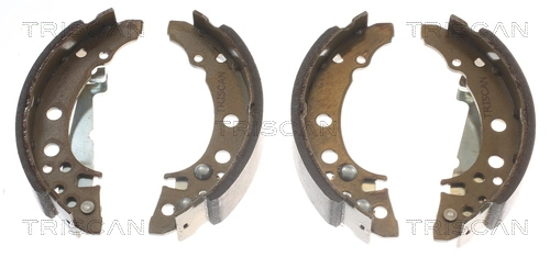 TRISCAN 8100 29001 Brake Shoe Set