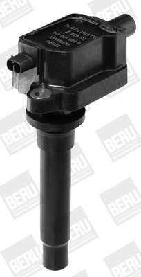 BorgWarner (BERU) ZS436 Ignition Coil