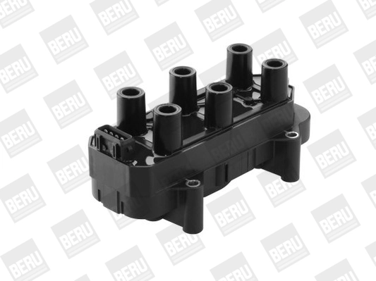 BorgWarner (BERU) ZS451 Ignition Coil