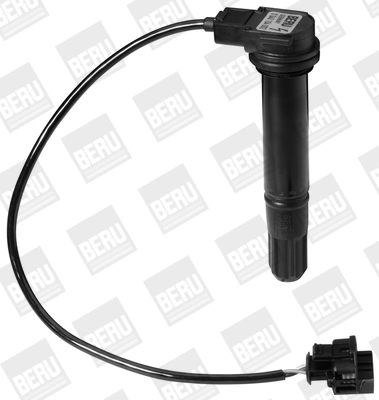 BorgWarner (BERU) ZS378 Ignition Coil