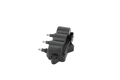 BorgWarner (BERU) ZS539 Ignition Coil