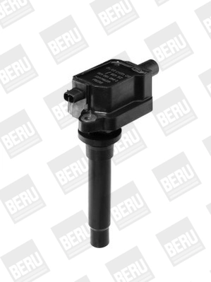 BorgWarner (BERU) ZS436 Ignition Coil