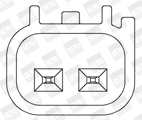BorgWarner (BERU) ZS366 Ignition Coil