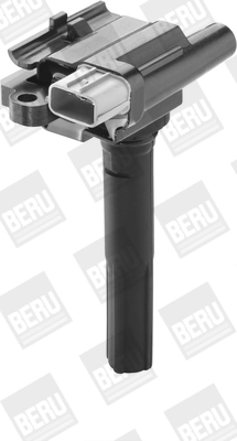 BorgWarner (BERU) ZSE069 Ignition Coil