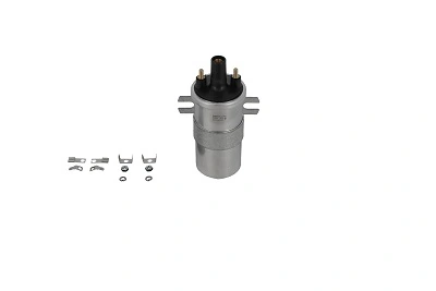 BorgWarner (BERU) ZS568 Ignition Coil