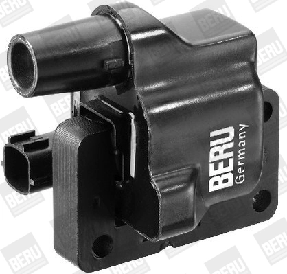 BorgWarner (BERU) ZS376 Ignition Coil