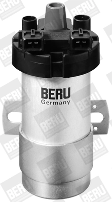 BorgWarner (BERU) ZS125 Ignition Coil