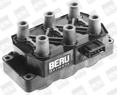 BorgWarner (BERU) ZS230 Ignition Coil