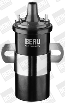 BorgWarner (BERU) ZS120 Ignition Coil