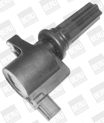BorgWarner (BERU) ZS367 Ignition Coil