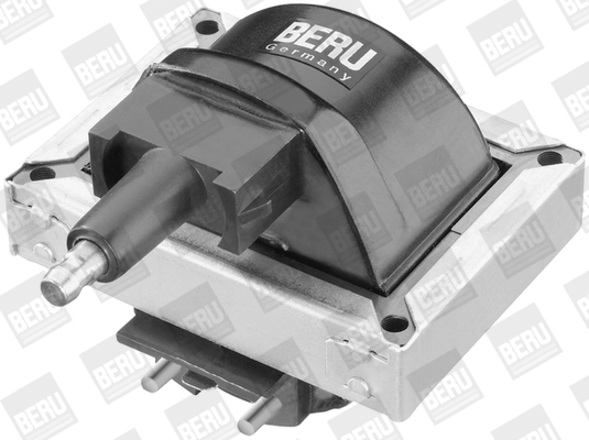BorgWarner (BERU) ZS316 Ignition Coil