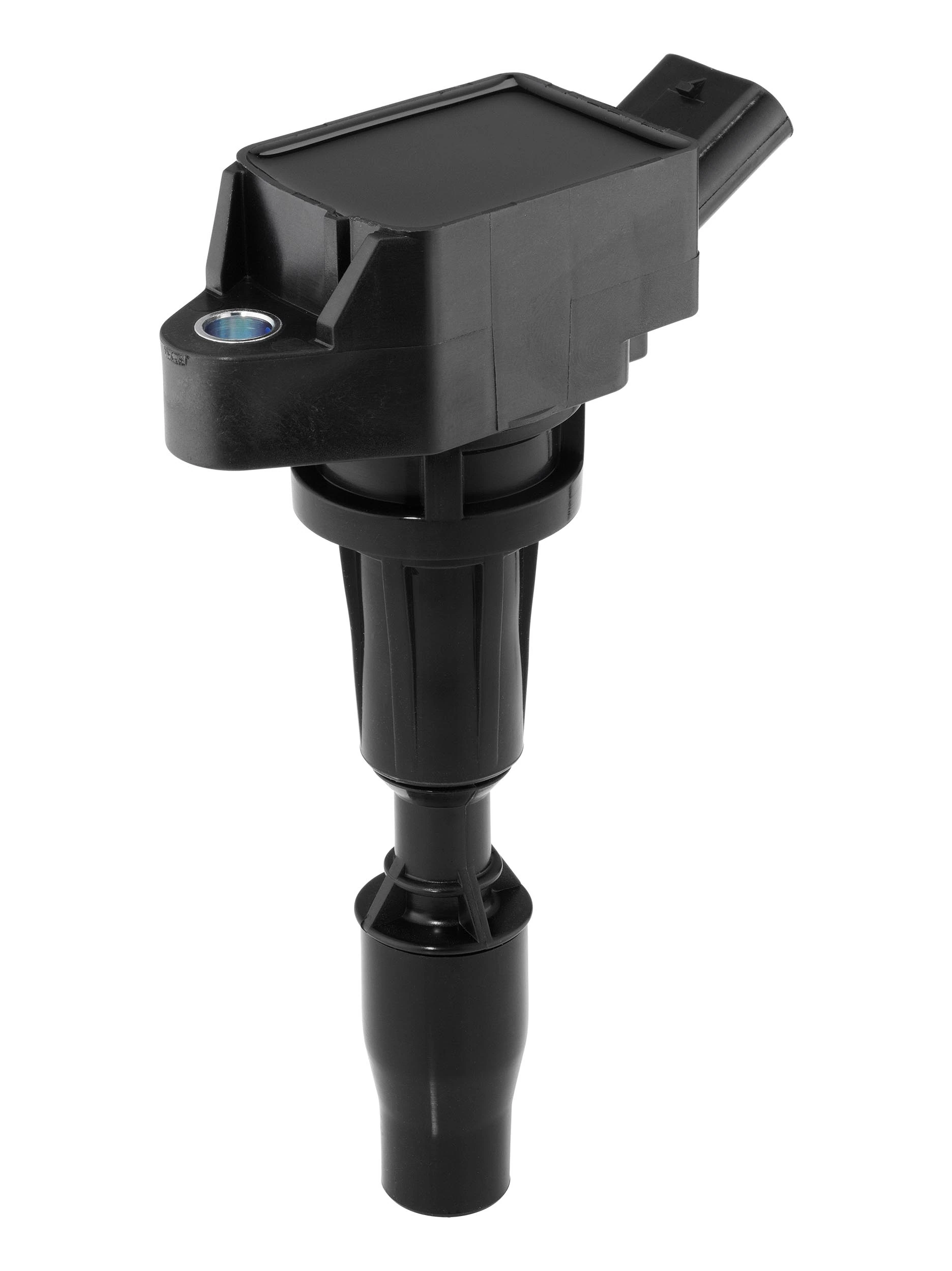 BorgWarner (BERU) ZSE300 Ignition Coil
