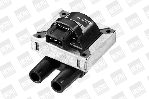 BorgWarner (BERU) ZS315 Ignition Coil