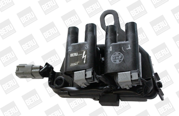 Ignition Coil ZS541