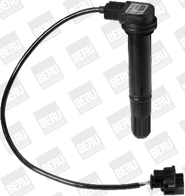 BorgWarner (BERU) ZS378 Ignition Coil
