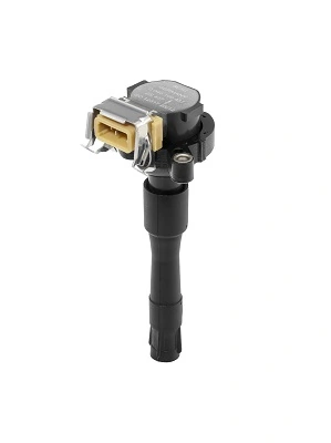 BorgWarner (BERU) ZS437 Ignition Coil
