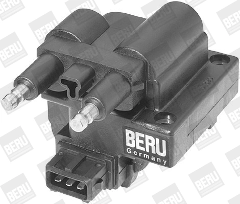 BorgWarner (BERU) ZS254 Ignition Coil