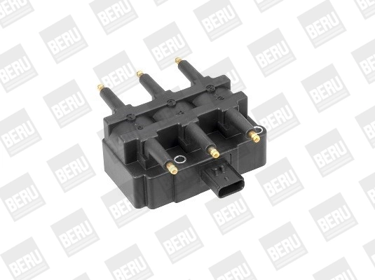 BorgWarner (BERU) ZS456 Ignition Coil