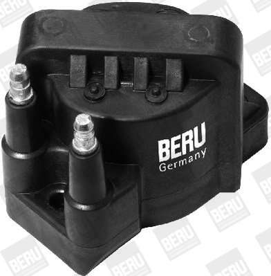 BorgWarner (BERU) ZS355 Ignition Coil
