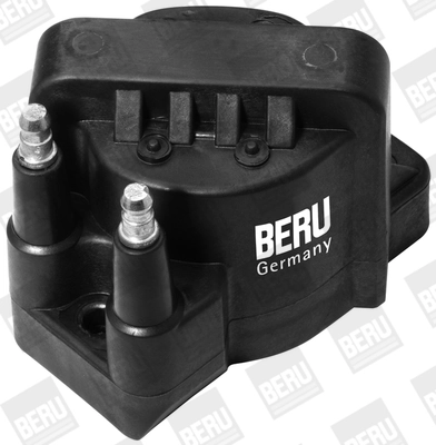 BorgWarner (BERU) ZS355 Ignition Coil
