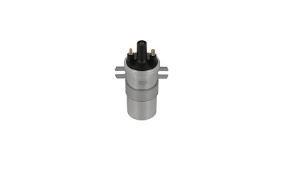 BorgWarner (BERU) ZS565 Ignition Coil