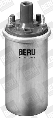 BorgWarner (BERU) ZS122 Ignition Coil
