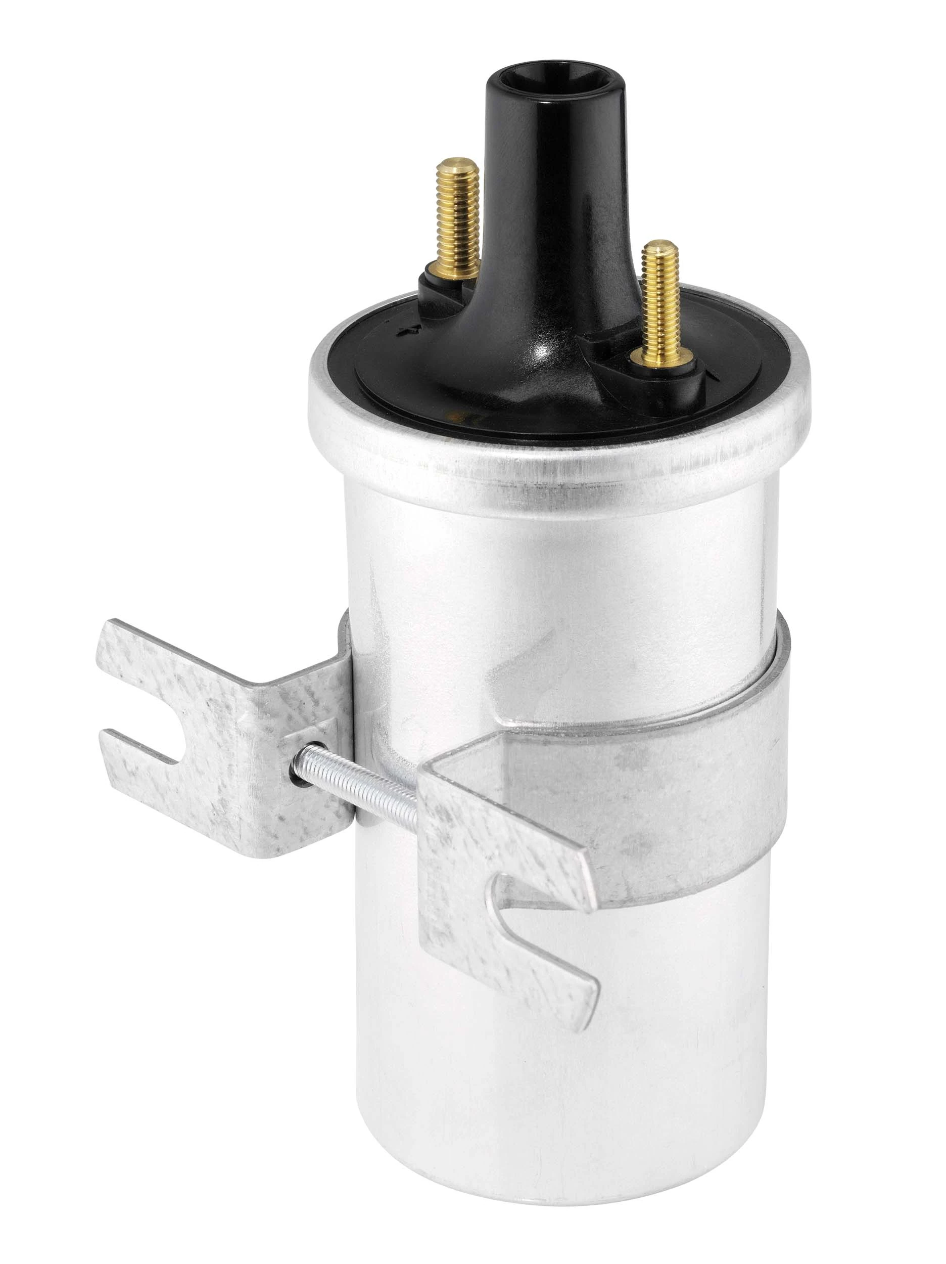 BorgWarner (BERU) ZS570 Ignition Coil