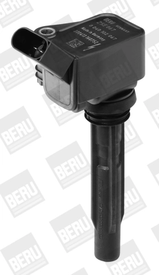 BorgWarner (BERU) ZSE067 Ignition Coil