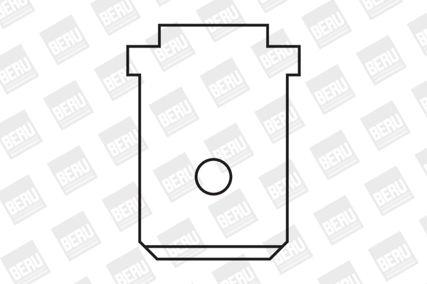 BorgWarner (BERU) ZS416 Ignition Coil