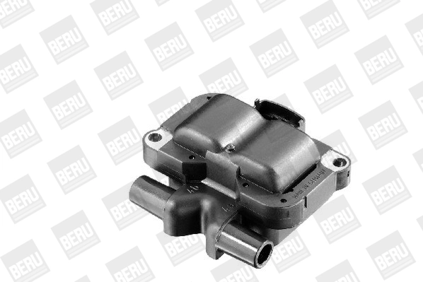 BorgWarner (BERU) ZS304 Ignition Coil