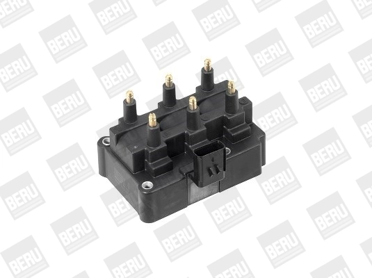 BorgWarner (BERU) ZS470 Ignition Coil