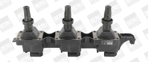 BorgWarner (BERU) ZS343 Ignition Coil