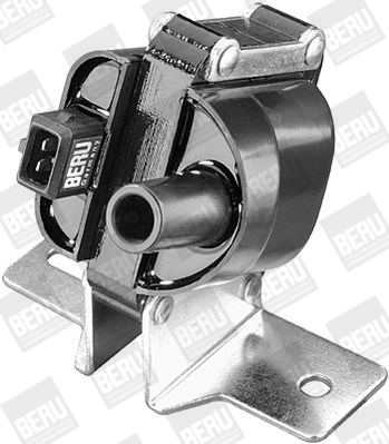 BorgWarner (BERU) ZS280 Ignition Coil