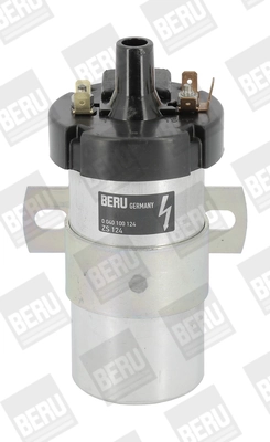 BorgWarner (BERU) ZS124 Ignition Coil