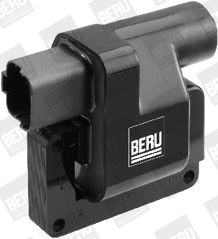 BorgWarner (BERU) ZS419 Ignition Coil