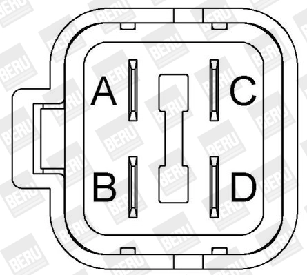 BorgWarner (BERU) ZS417 Ignition Coil