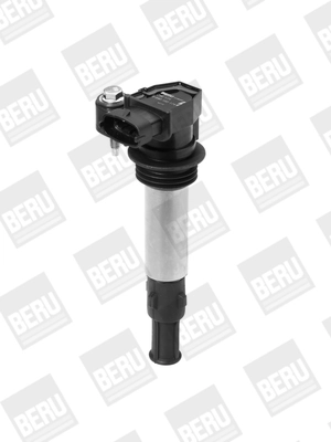 BorgWarner (BERU) ZSE174 Ignition Coil