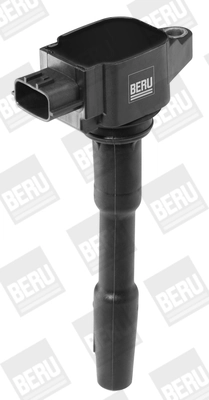 BorgWarner (BERU) ZSE131 Ignition Coil