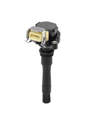 BorgWarner (BERU) ZS435 Ignition Coil