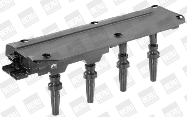 BorgWarner (BERU) ZS349 Ignition Coil