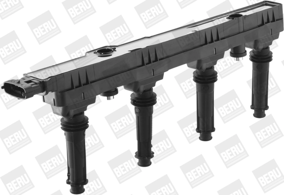 BorgWarner (BERU) ZSE150 Ignition Coil